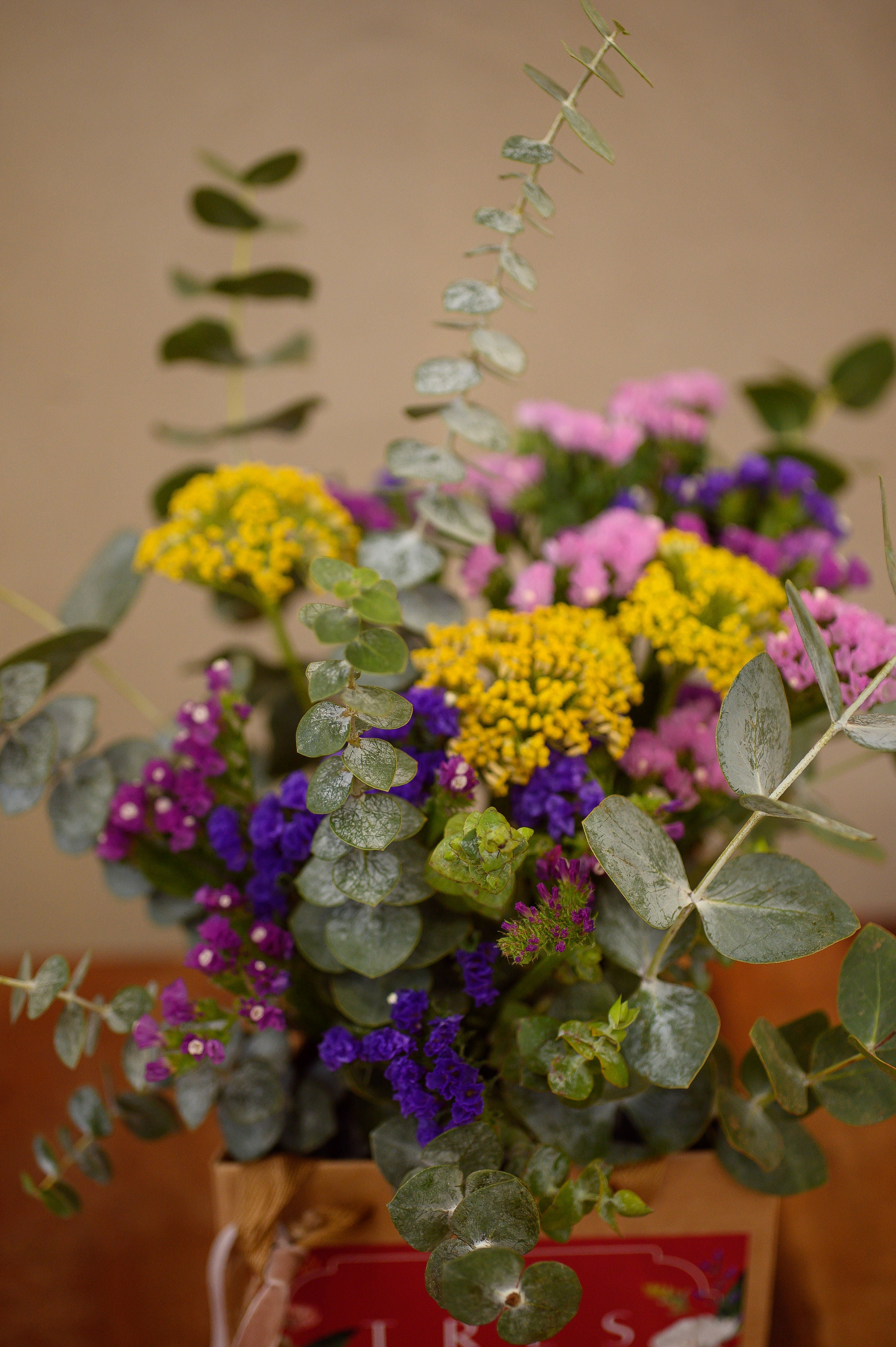Ramo de Siemprevivas en Caja Tres Gardenias