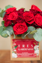 Rosas Rojas en Caja