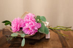 Ramo de 3 Peonias