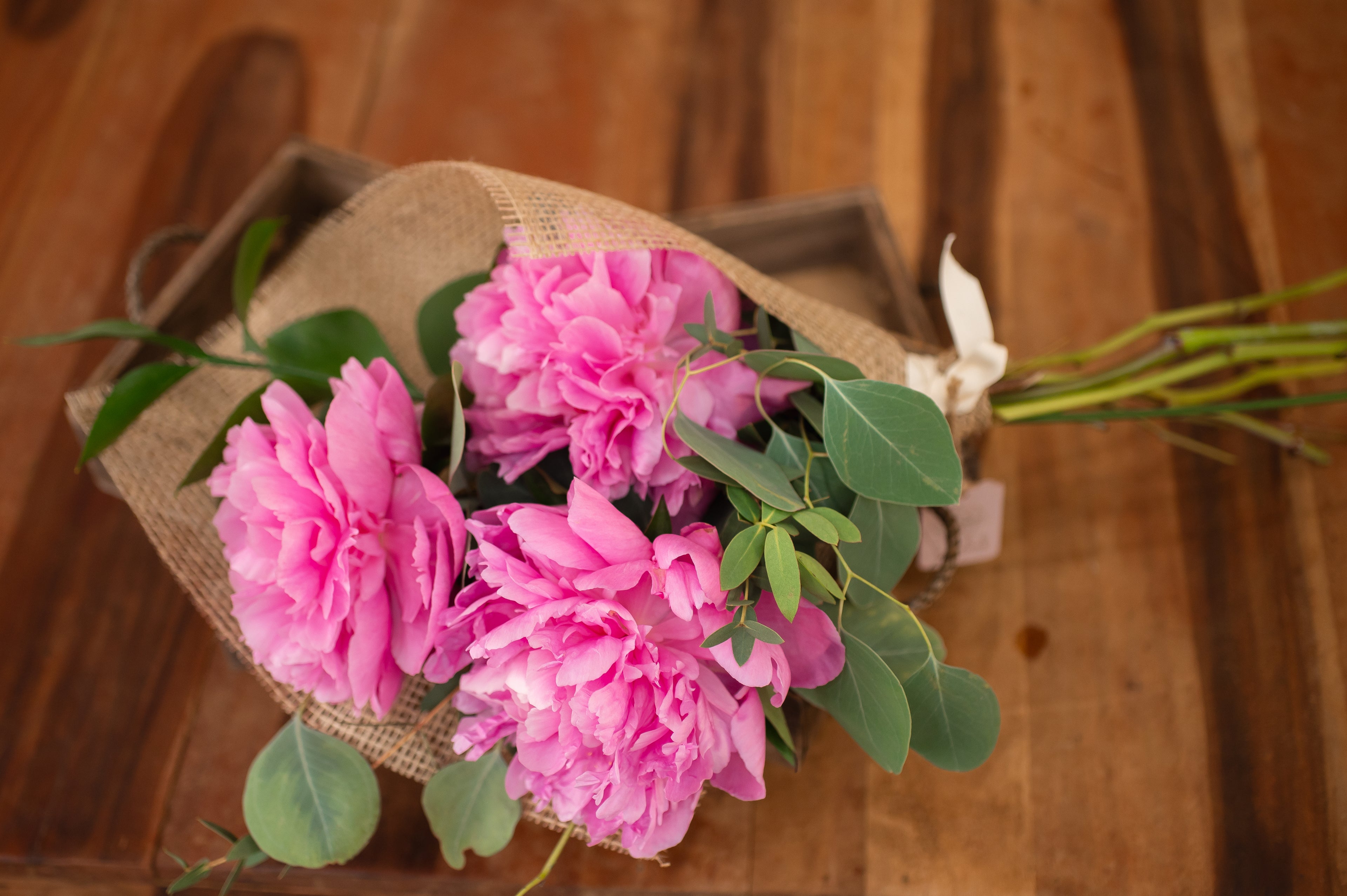 Ramo de 3 Peonias