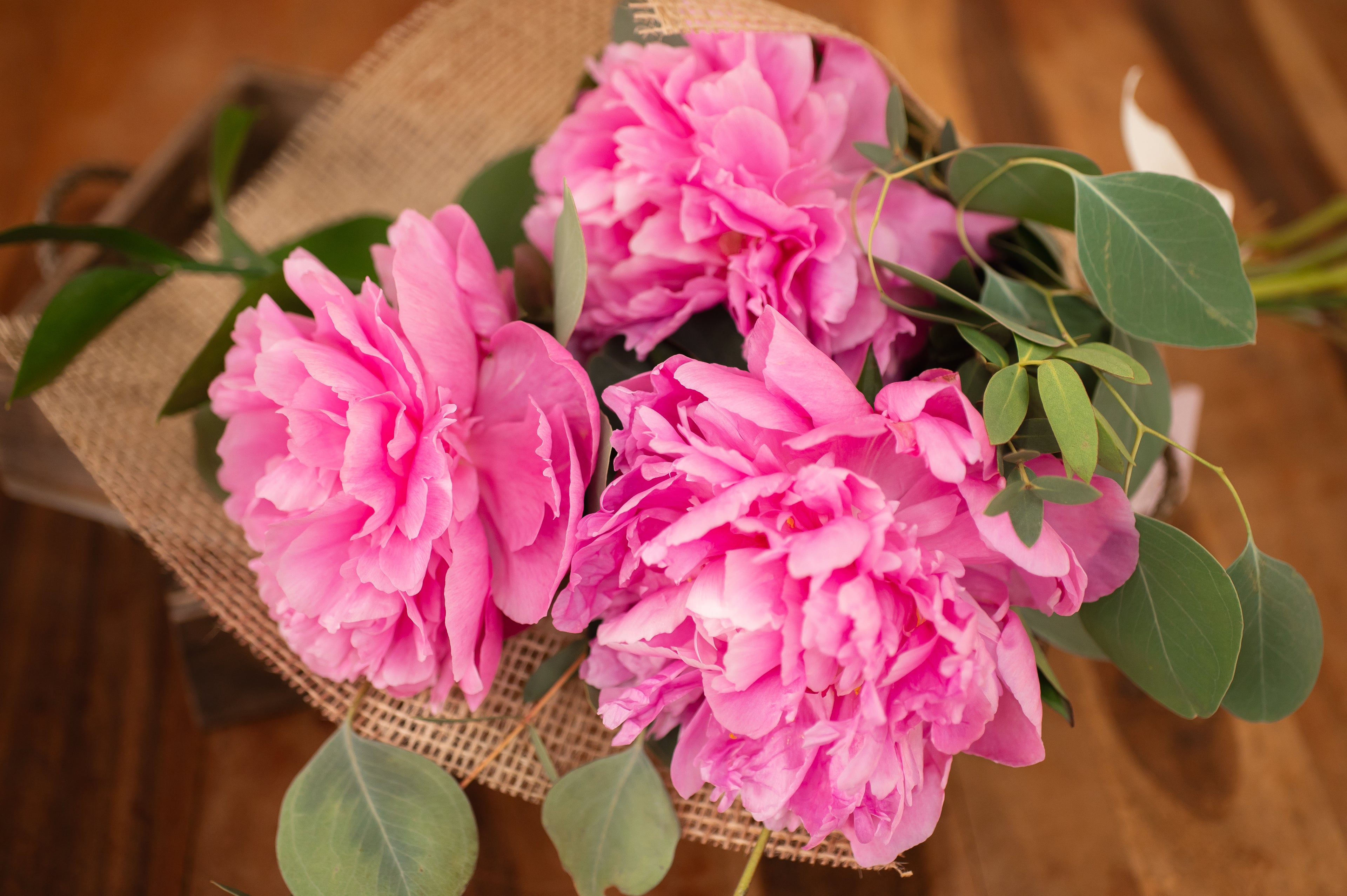 Ramo de 3 Peonias