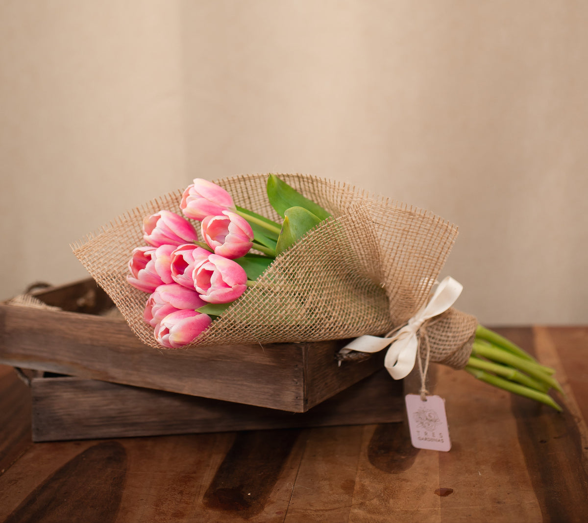Pack de 8 Tulipanes - Tres Gardenias