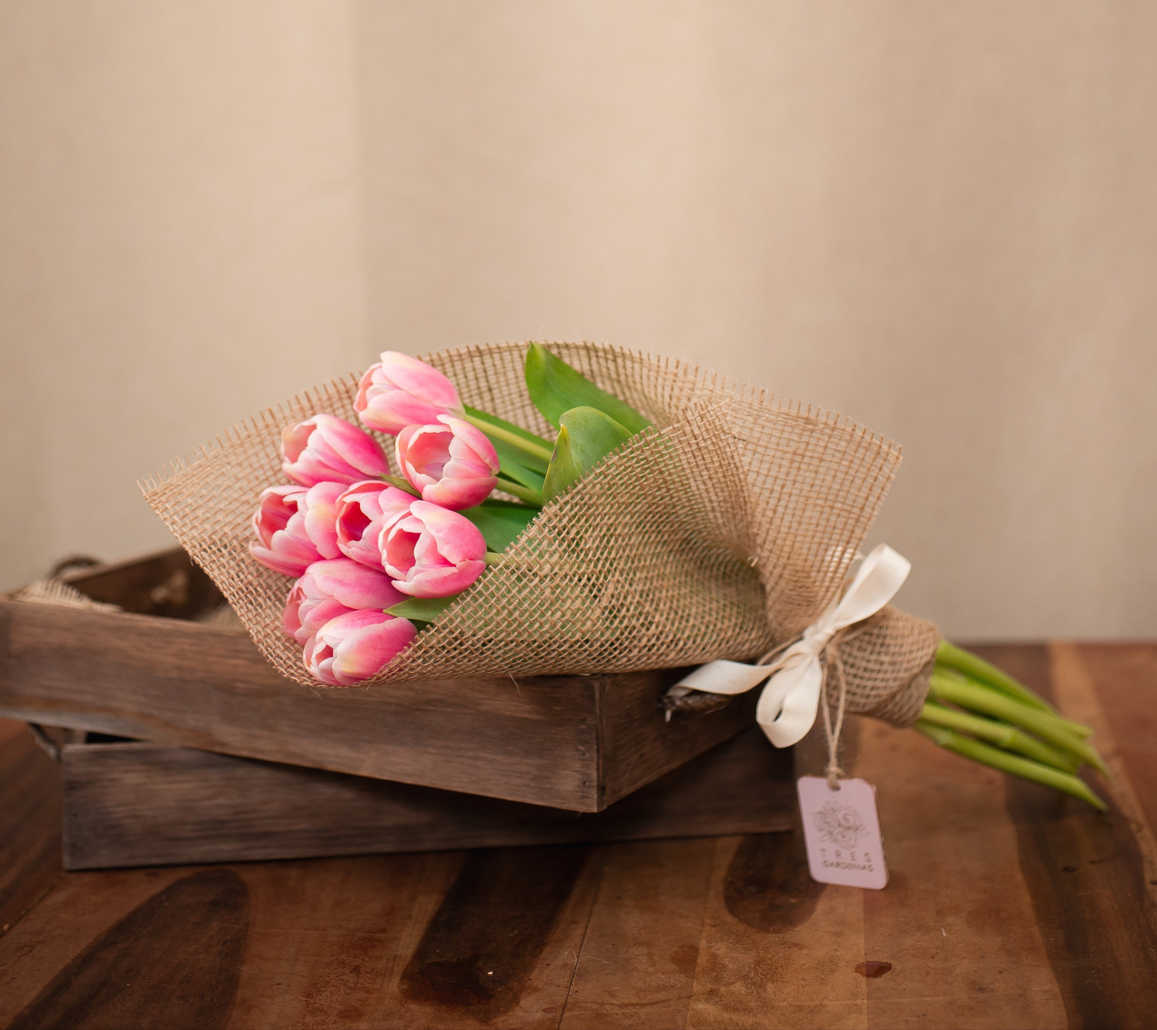 Pack de 8 Tulipanes