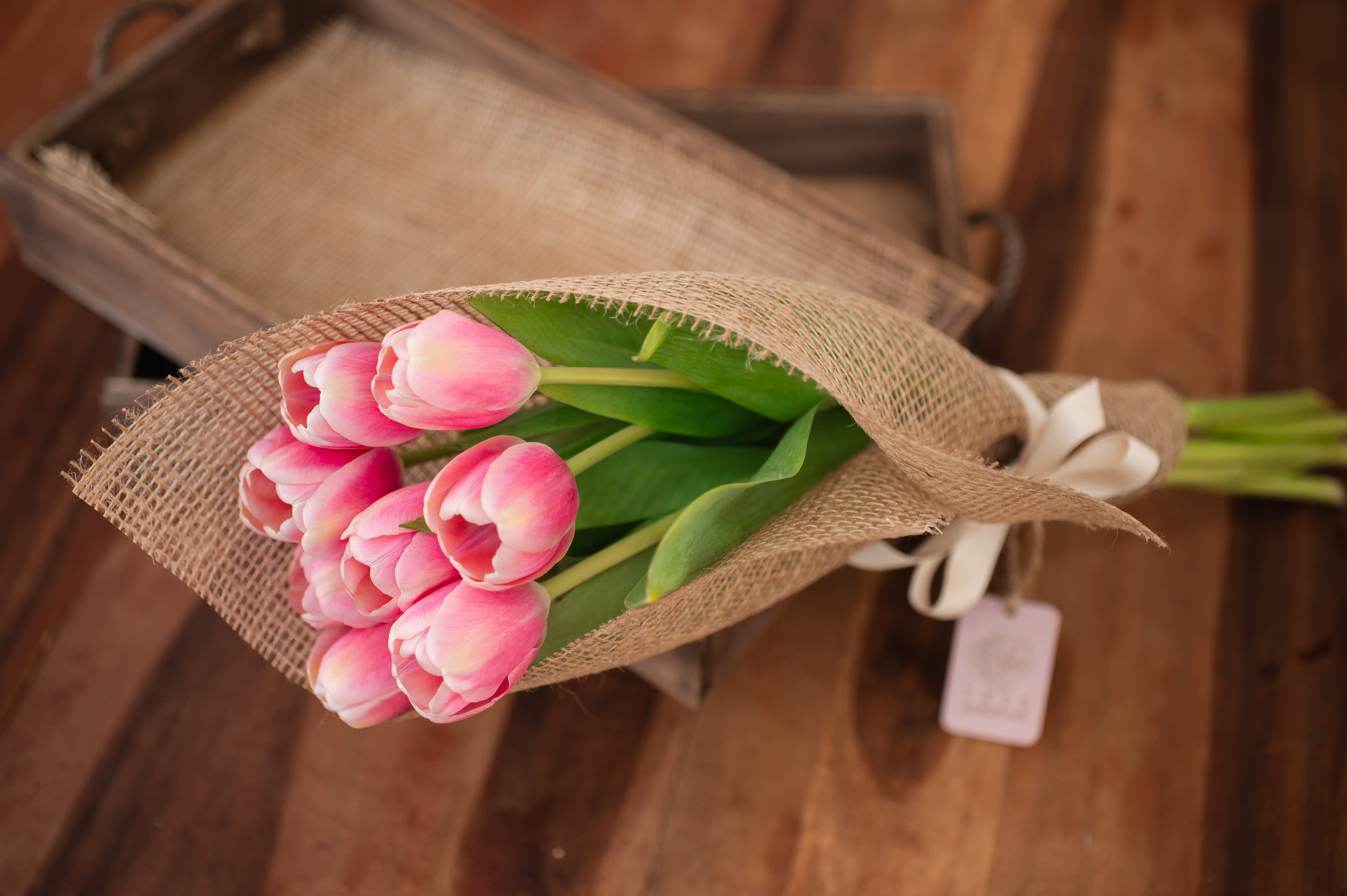 Pack de 8 Tulipanes