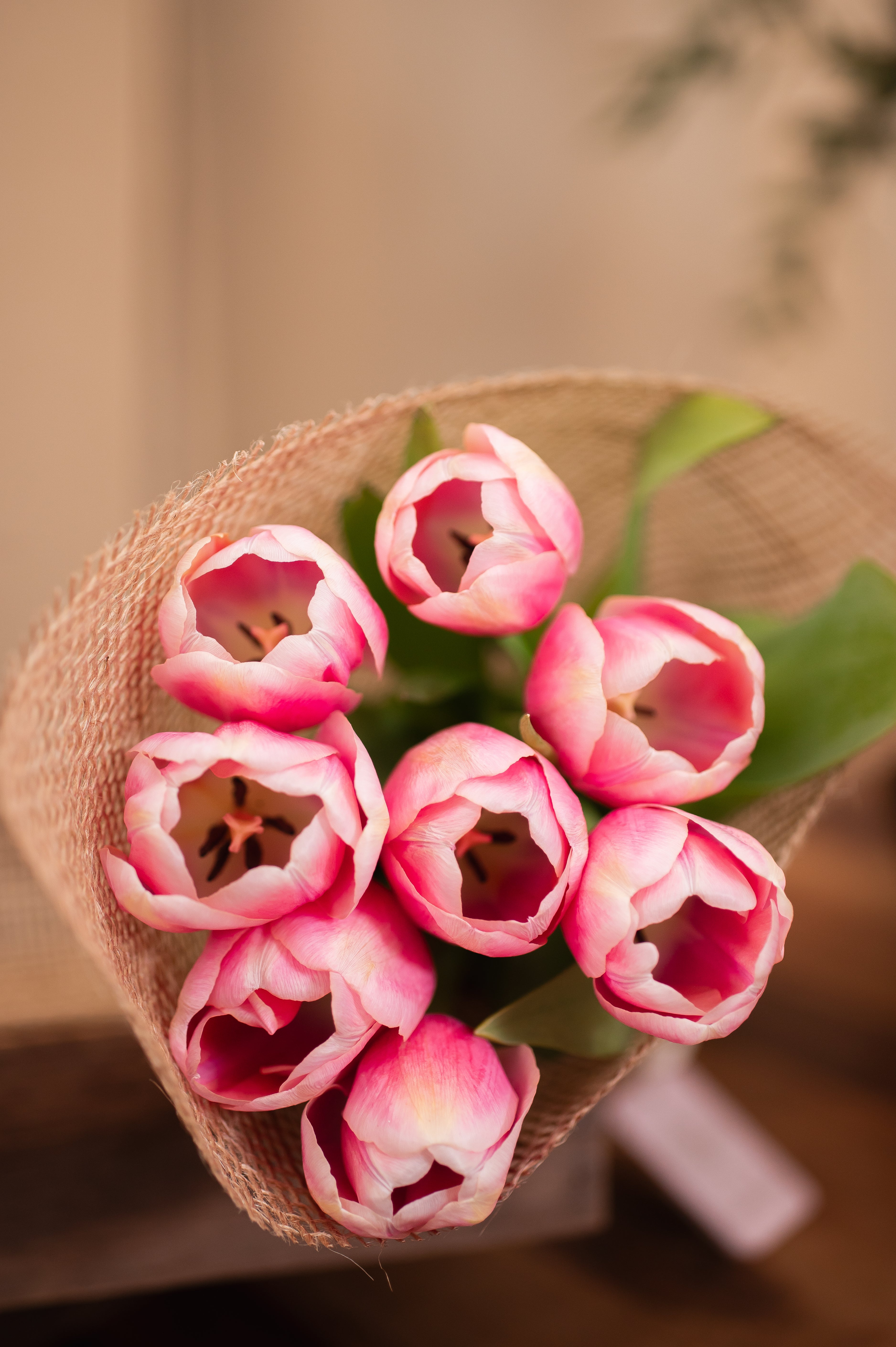 Pack de 8 Tulipanes