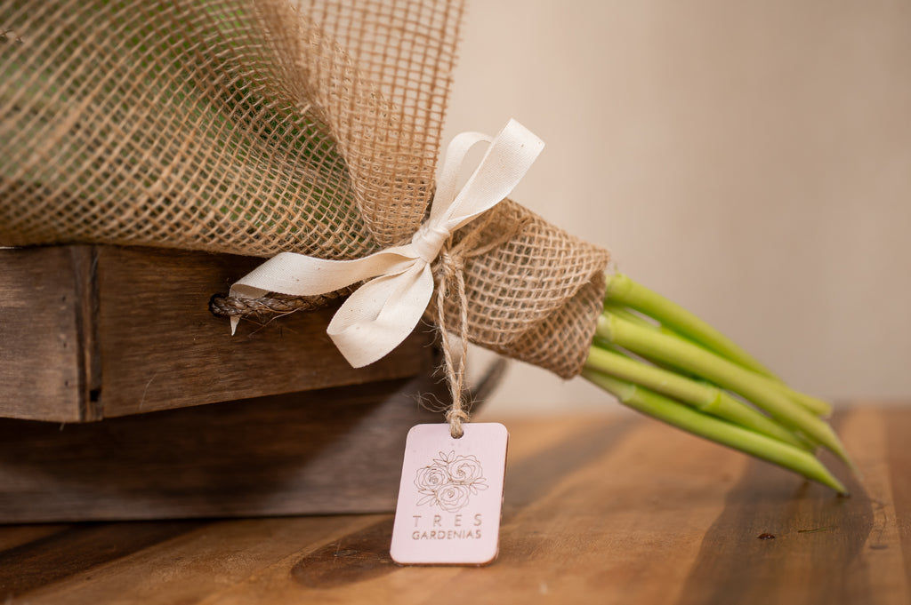 Pack de 8 Tulipanes