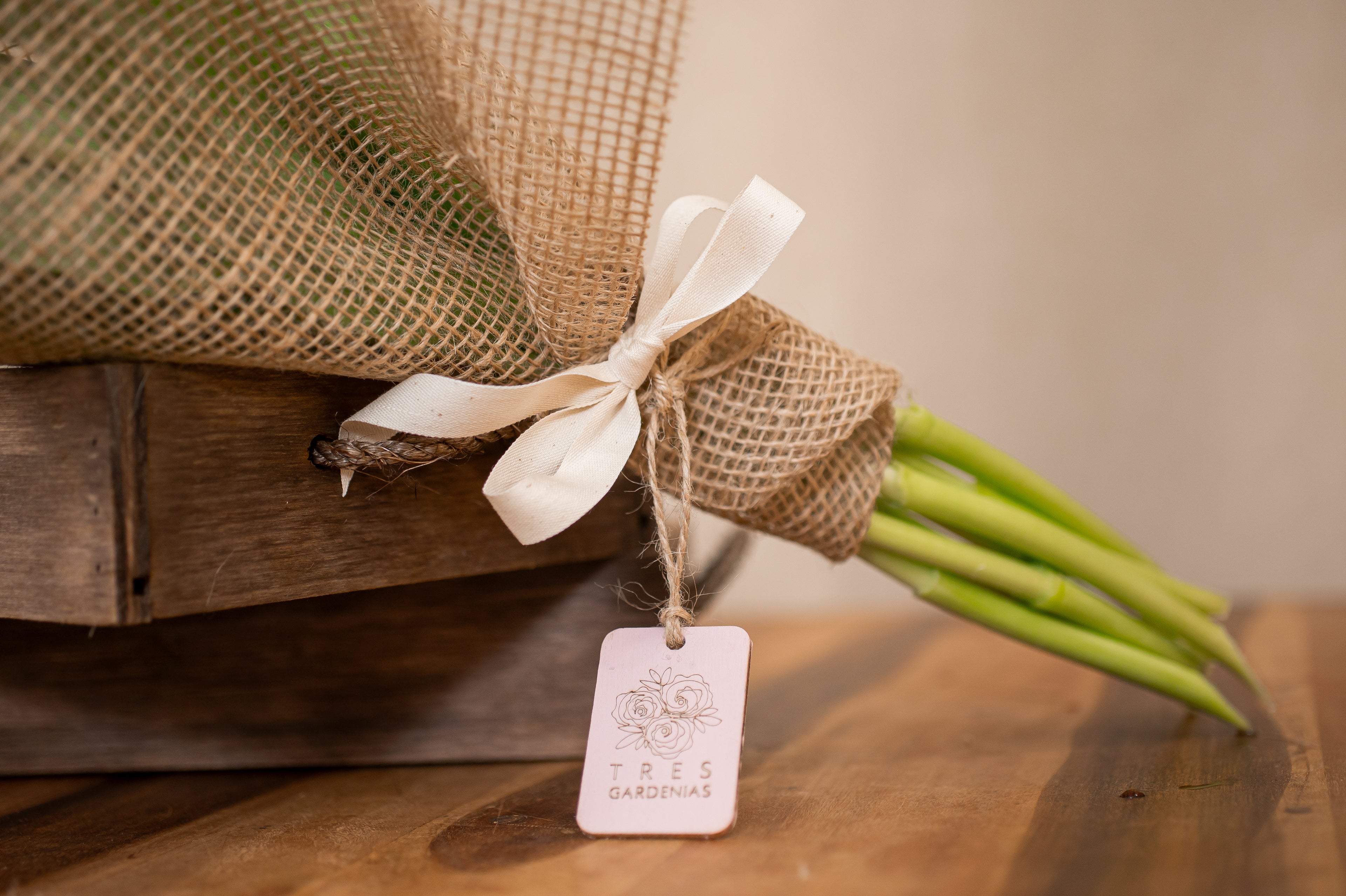 Pack de 8 Tulipanes