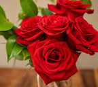 Cinco Rosas Rojas con Jarrón - Tres Gardenias