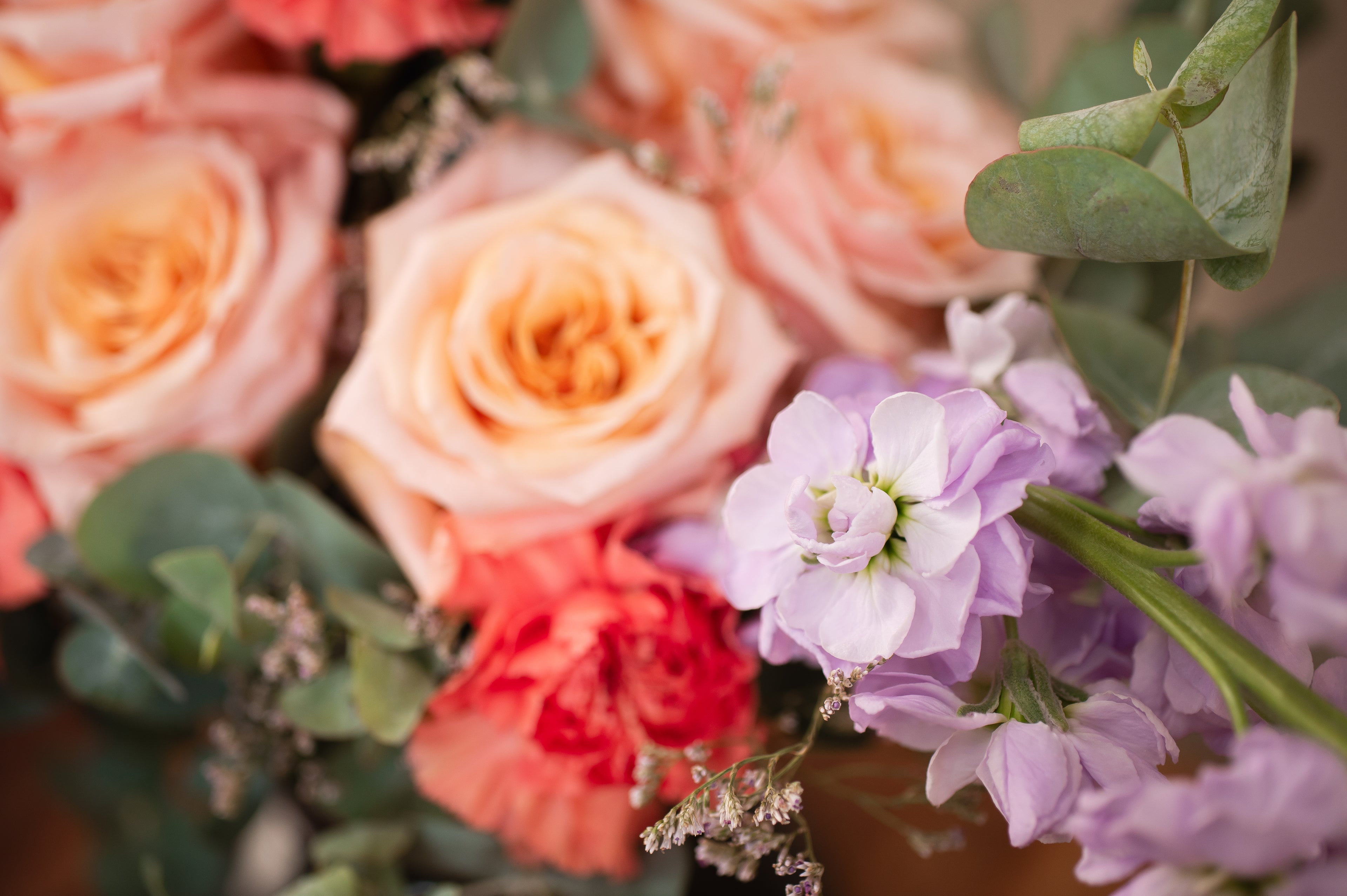 Bouquet Laura