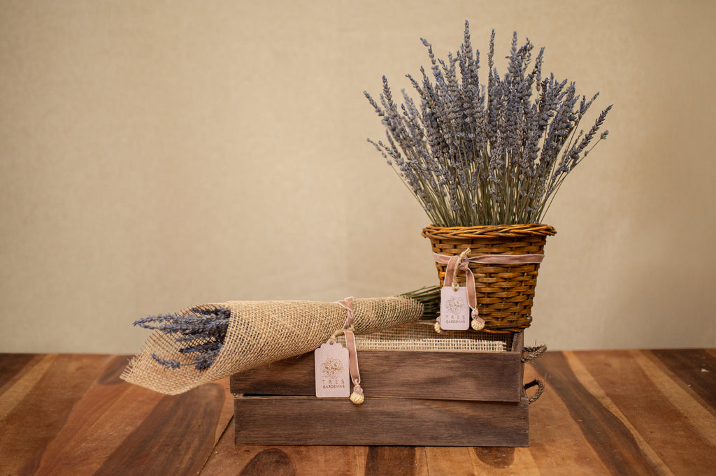 Cesta de Lavanda - Tres Gardenias