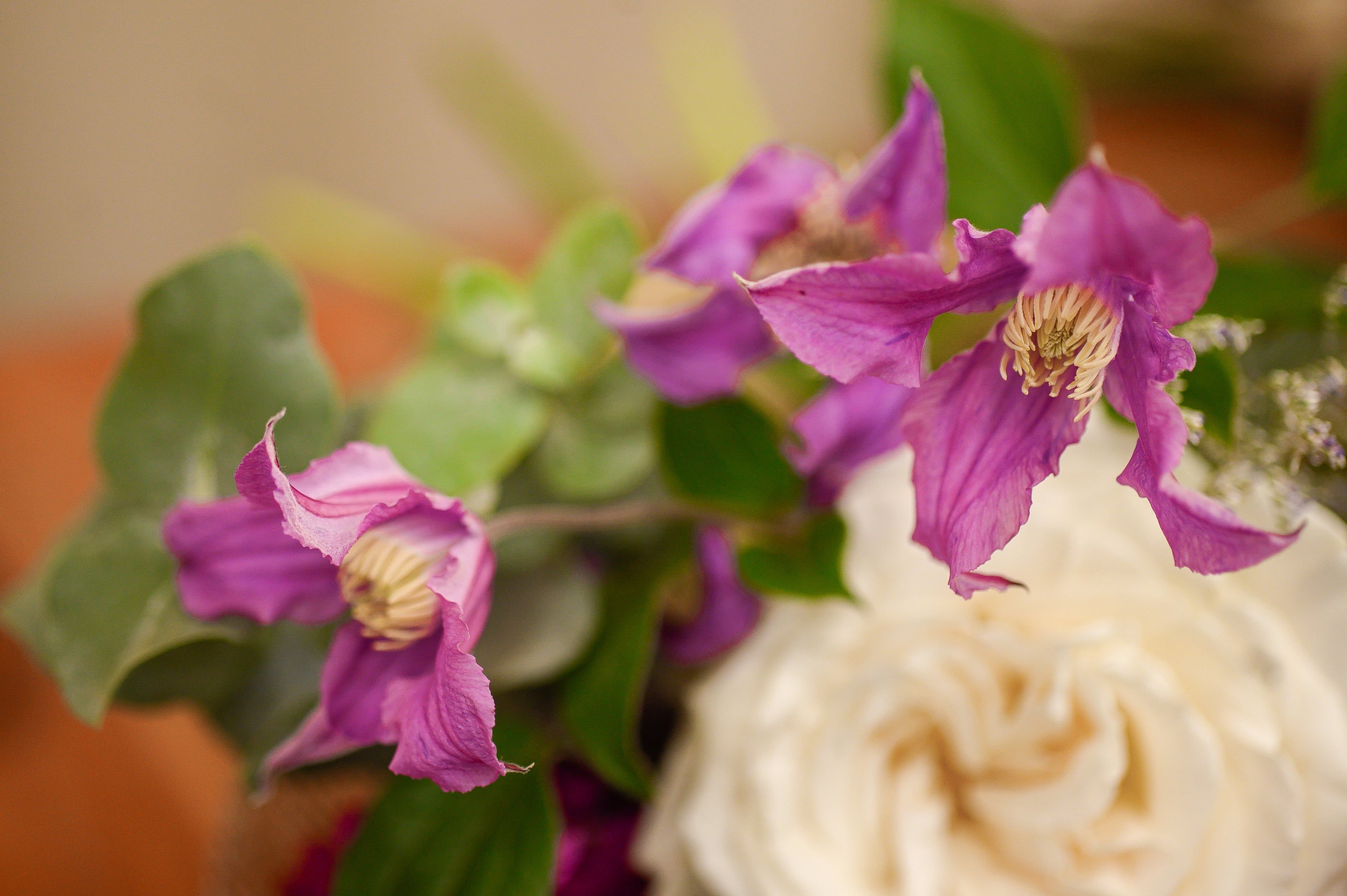 Ramo Alejandra Pequeño