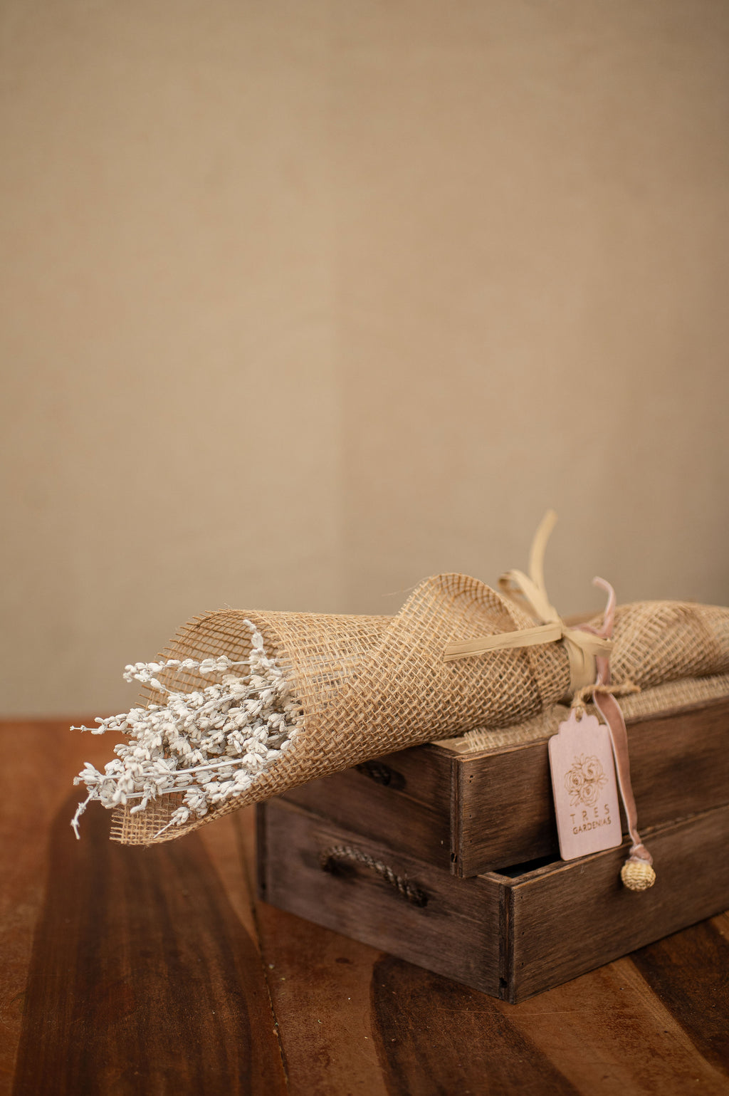 Pack de Lavanda Preservada