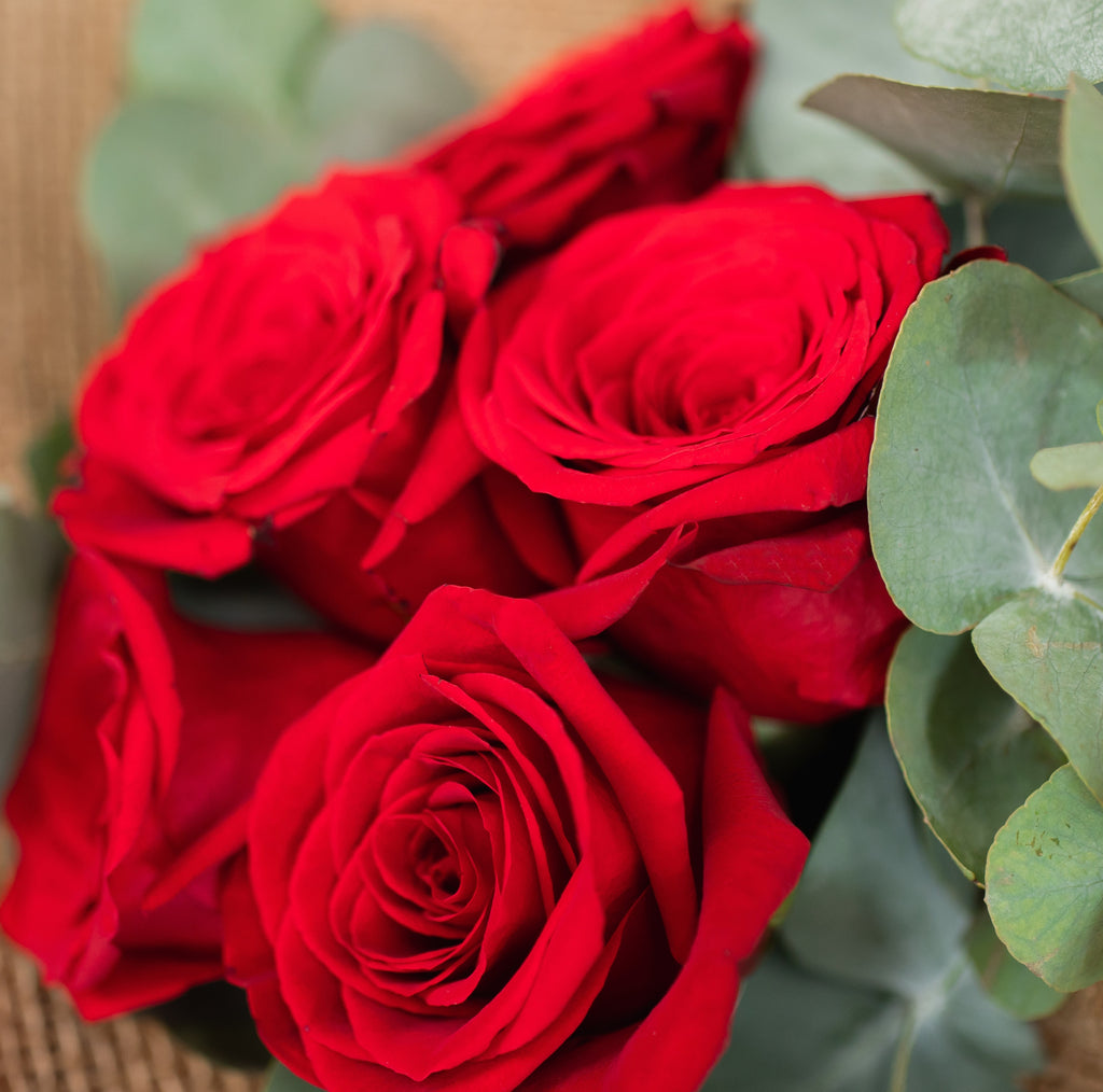 Ramo de 5 Rosas Rojas