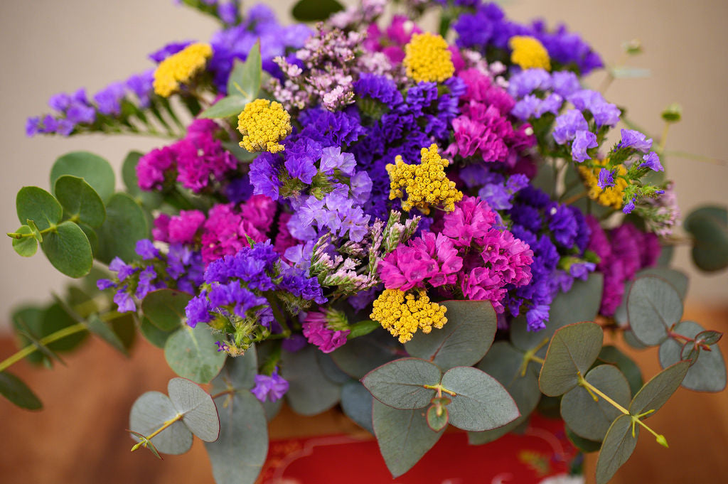 Ramo de Siemprevivas en Bolsa de Regalo - Tres Gardenias