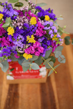 Ramo de Siemprevivas en Bolsa de Regalo - Tres Gardenias