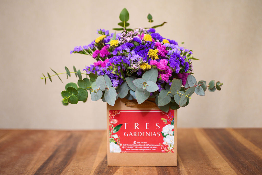 Ramo de Siemprevivas en Bolsa de Regalo - Tres Gardenias