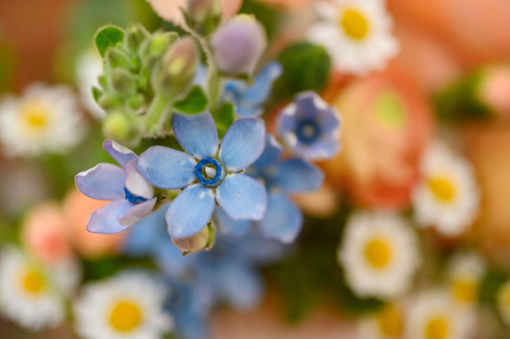 Seleccion de Flores Primaverales (Jarrón Incluido) - Tres Gardenias