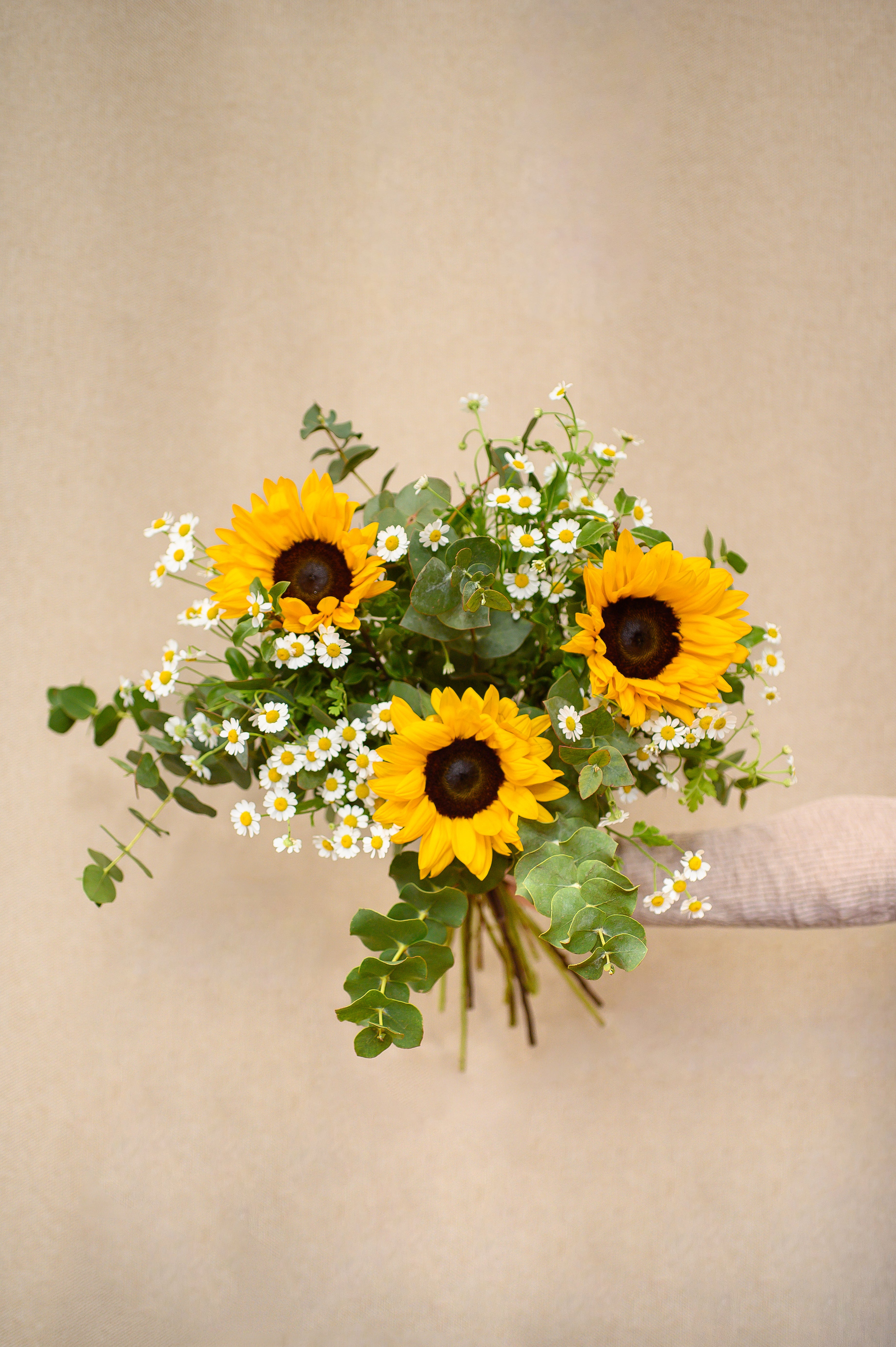 Ramo de Girasoles con Flor de Manzanilla - Tres Gardenias