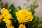 Ramo de Rosas Amarillas - Tres Gardenias