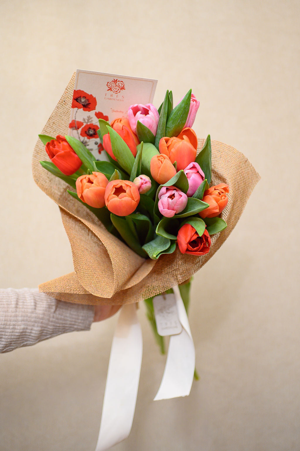 Pack de 16 Tulipanes - Tres Gardenias