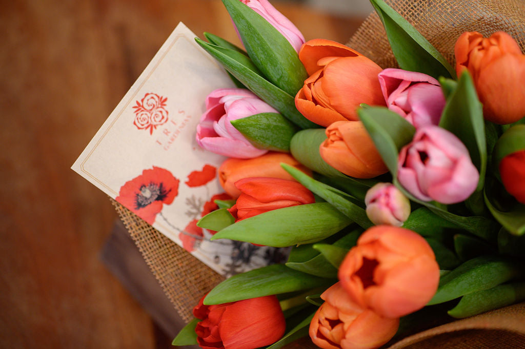 Pack de 16 Tulipanes - Tres Gardenias