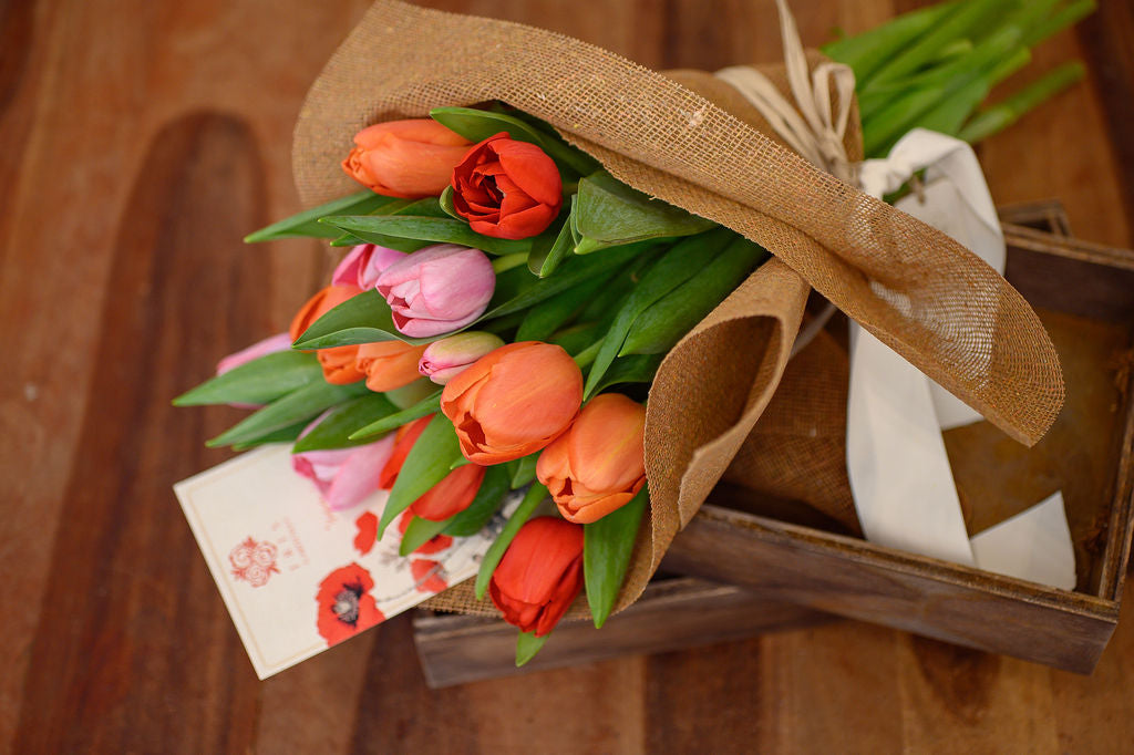 Pack de 16 Tulipanes - Tres Gardenias