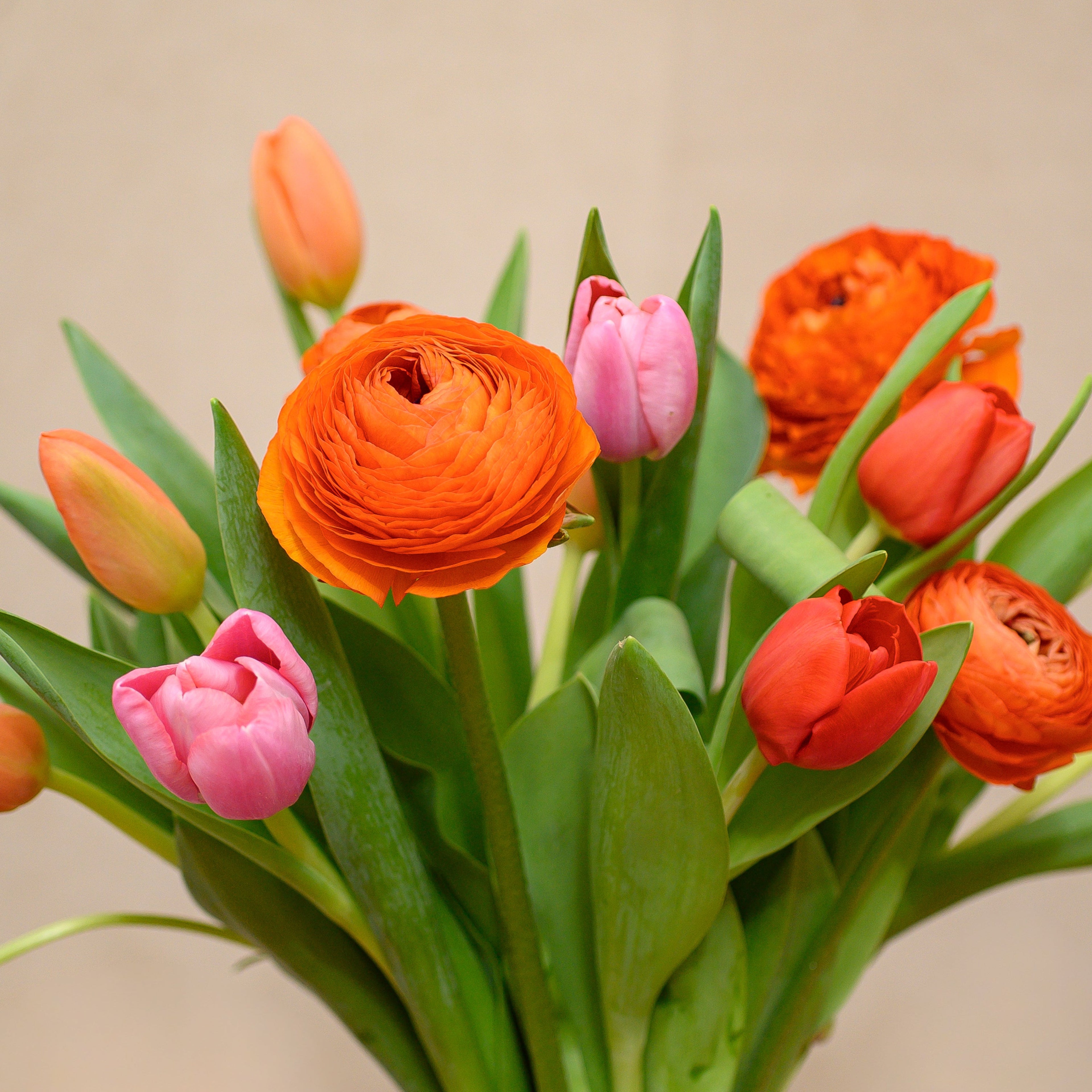 Jarrón con Ranúnculos y Tulipanes - Tres Gardenias