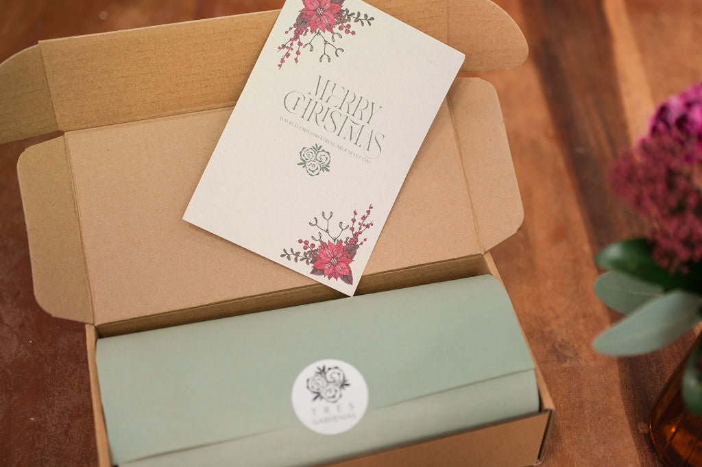 Set de 4 Servilleteros